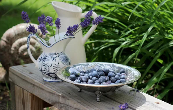 Greens, summer, leaves, flowers, bench, berries, Bush, garden