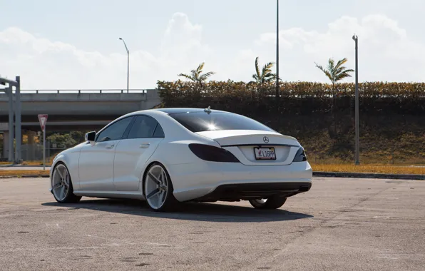 Picture white, tuning, Mercedes, back, Mat, CLS 550
