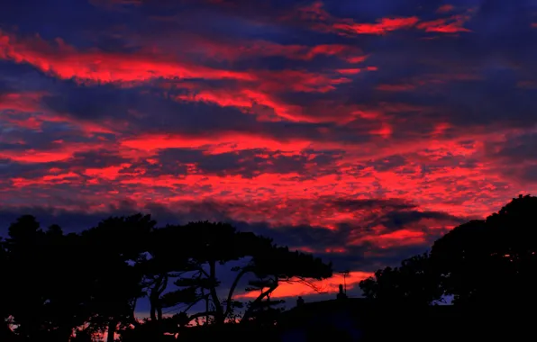 Picture clouds, trees, night, silhouette, glow