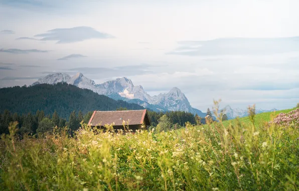 Field, mountains, house