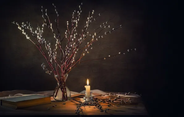 Picture branches, candle, still life