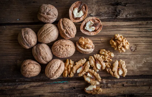 Nuts, table, shell