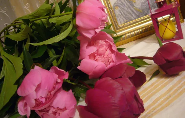 Candle, icon, Peonies