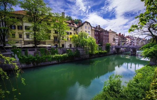 Trees, bridge, river, building, Ljubljana - Slovenia