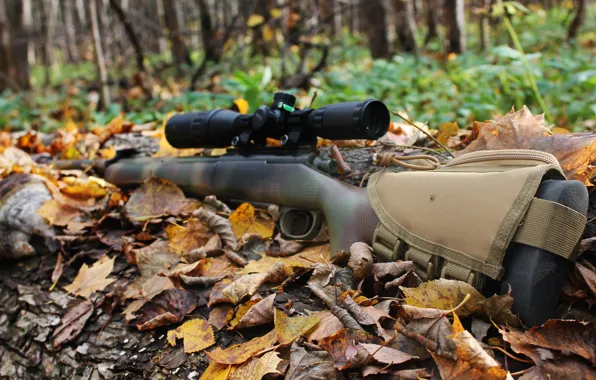 October, sniper rifle, sniper rifle, 2017