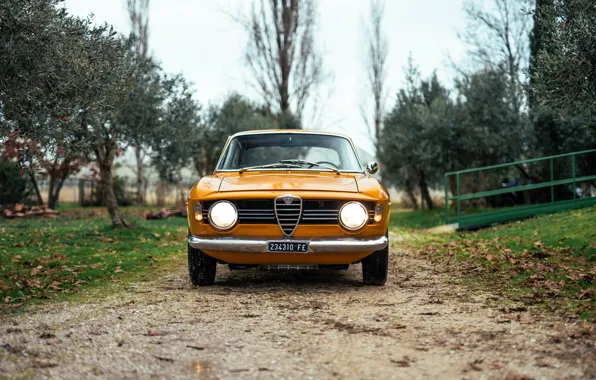 Alfa Romeo, 1967, Giulia, Alfa Romeo Giulia Sprint GT