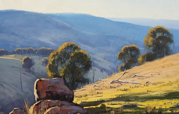 Picture trees, branches, nature, stones, hills, art, dry, Australia