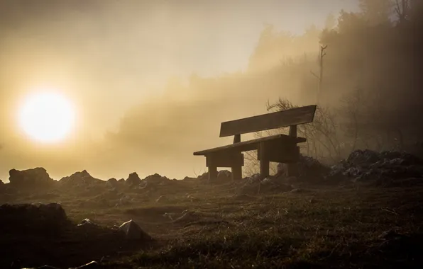 Picture night, fog, bench