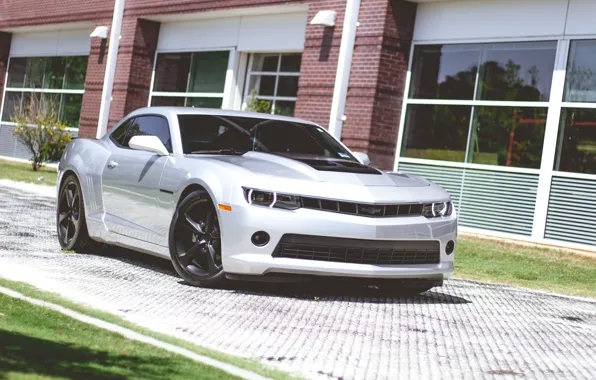 Picture Chevrolet, Camaro, 2013, RS