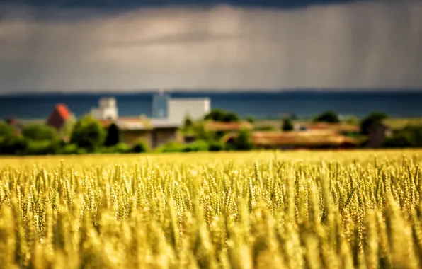 Sea, gold, storm, Church, storm, gold, sea, church
