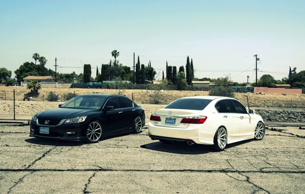 Picture Accord, Honda, white, wheels, black, Galpin, wossen, stance