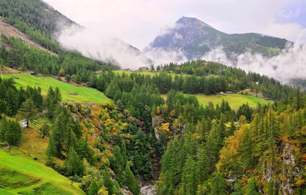 Picture road, the sky, clouds, trees, mountains, house, rocks