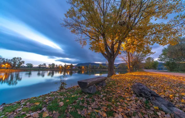 Autumn, leaves, trees, lake, bench, Croatia, Croatia, Lake Zajarki