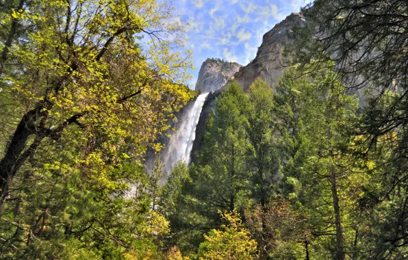 Trees, mountains, rocks, waterfall, CA, USA, Yosemite national Park, Yosemite National Park