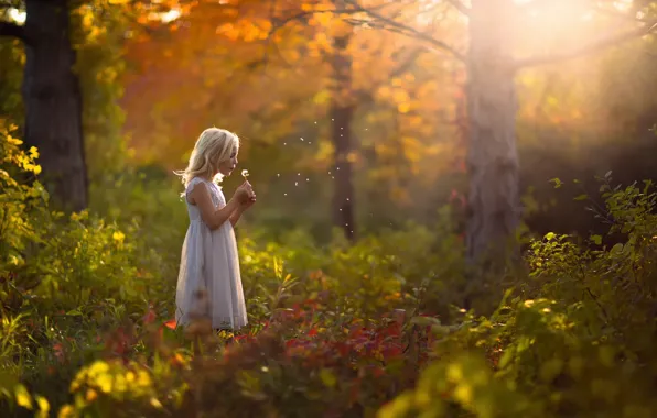 Picture autumn, forest, dandelion, dress, girl