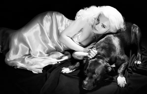 Photo, dog, dress, actress, hairstyle, blonde, black and white, journal