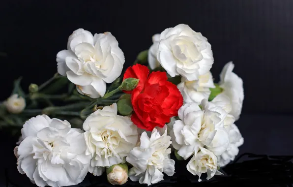 Picture background, bouquet, clove