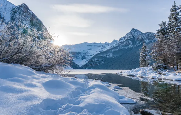 Winter, snow, trees, mountains, lake, Canada, the snow, Albert