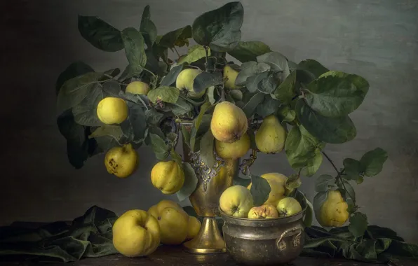 Leaves, branches, table, food, bouquet, fruit, fabric, pan