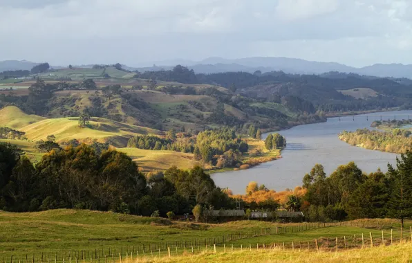 Picture forest, landscape, nature, river, photo, New Zealand, Waikato