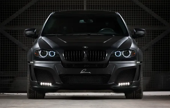 Picture black, lights, garage, gate, grille, the front