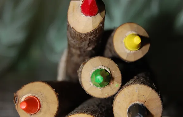PENCILS, COLORED, BRANCHES, BARK, WOOD