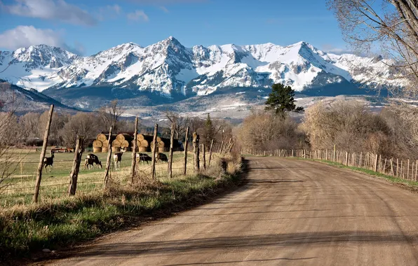 Picture road, mountains, the fence