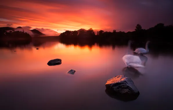 Picture the sky, clouds, mountains, birds, lake, stones, hdr, glow