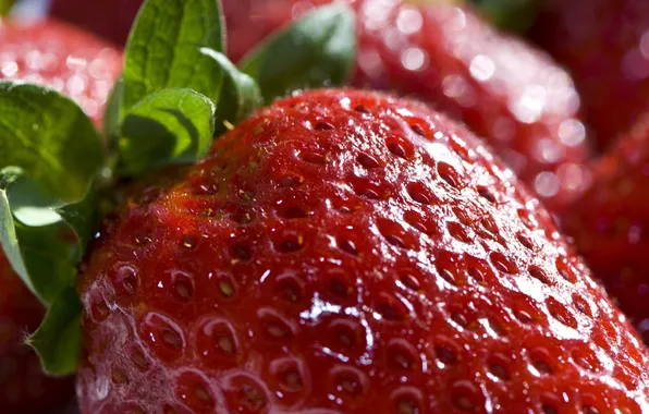 Picture food, strawberry, berry, red