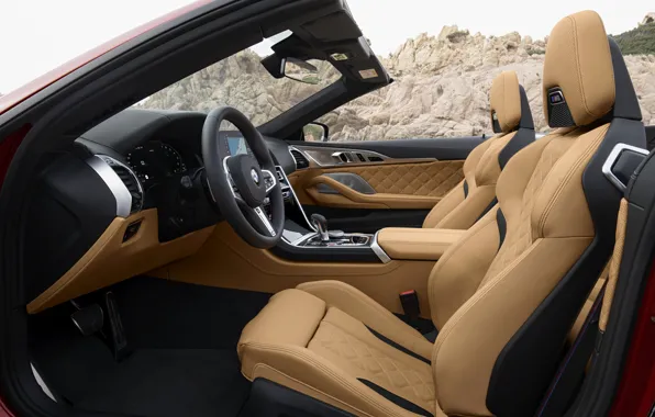 Picture devices, BMW, the wheel, convertible, seat, 2019, BMW M8, M8