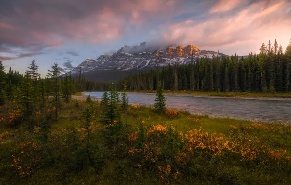 Forest, mountains, river, ate, Canada, Albert, Banff National Park, Alberta