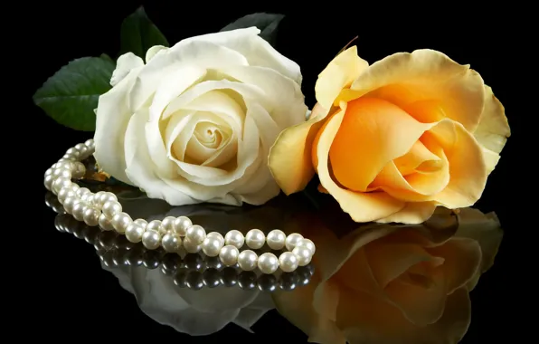 White, flowers, yellow, background, black, roses, pearl, a couple