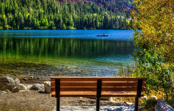 Forest, trees, bench, lake, stones, shore, boat, CA