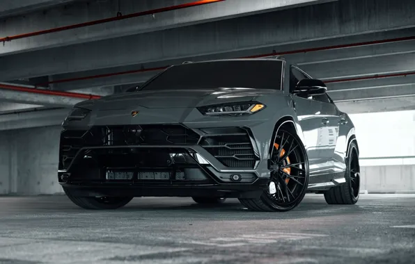 Picture Lamborghini, Gray, SUV, Urus, VAG, Sight