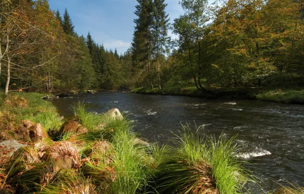 Landscape, nature, river, Germany, Bayern