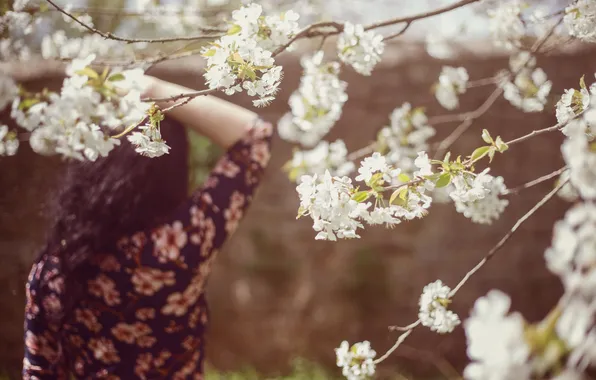 Girl, trees, flowers, hair, back, petals, white