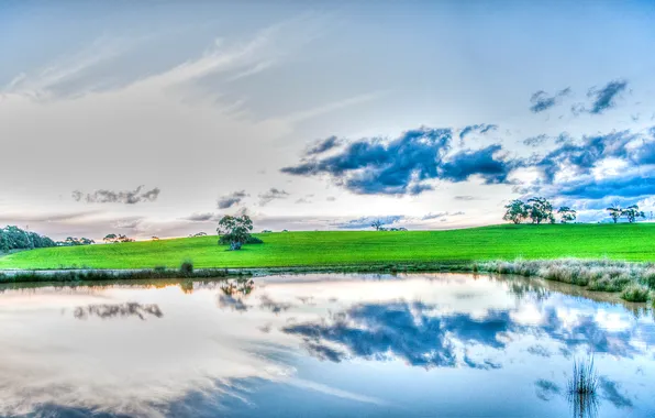 The sky, grass, clouds, trees, lake, reflection