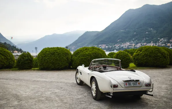 Picture BMW, convertible, 507, rear view, BMW 507, iconic