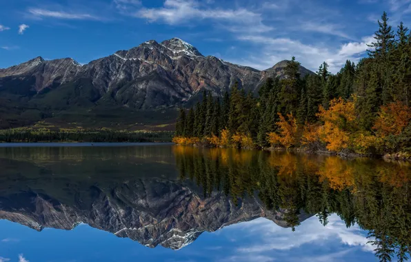 Picture forest, trees, mountains, lake, reflection, shore, Canada, Albert