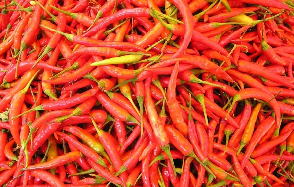 Hot, food, pepper, vegetable, chili pepper