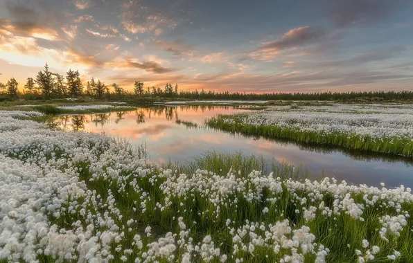 The sky, landscape, sunset, nature, lake