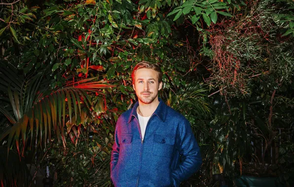 Picture night, garden, actor, the bushes, photoshoot, Ryan Gosling, Ryan Gosling, 2015