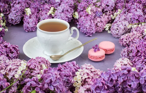 Picture morning, Cup, lilac, picene, Julija Vilvarin