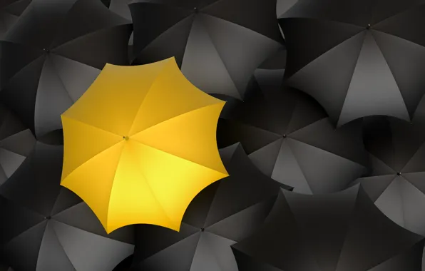 Yellow, umbrellas, black color