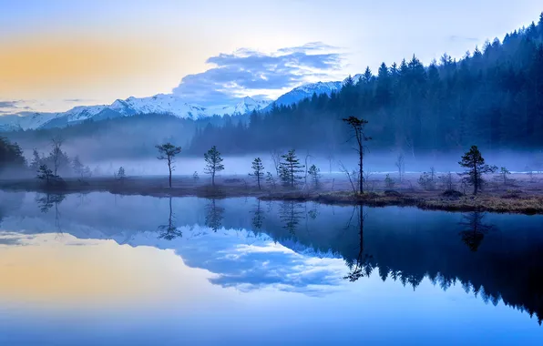 Trees, mountains, fog, lake, Italy, Lombardy, Aprica
