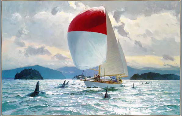 Sea, the sky, clouds, sailboat, picture, yacht, orcas, Blossom Christopher