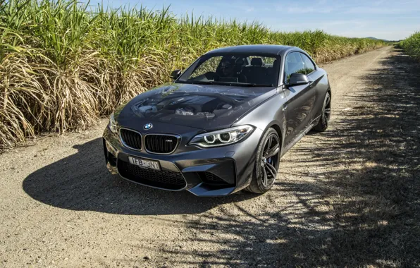 Picture BMW, coupe, BMW, Coupe, F87