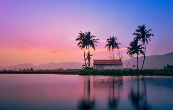 Sunset, Sea, Beach, Palma, Horizon, House, House, Landscape