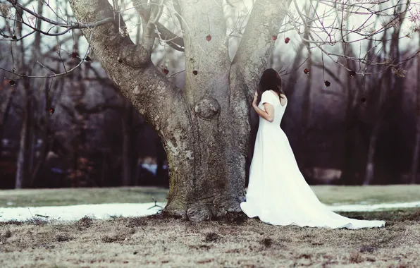 Picture girl, tree, roses, wedding dress