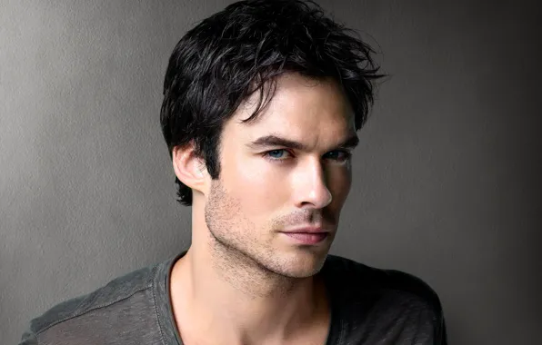 Grey, background, actor, male, the series, The Vampire Diaries, The vampire diaries, Ian Somerhalder